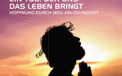 Die Dezember-Ausgabe des Allianzspiegels ist da!