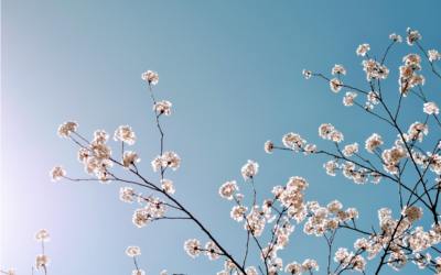 Leben in Fülle – durch Jesus Christus
