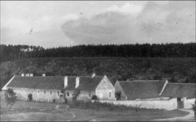 Täufergeschichte: #2 Hierarchien