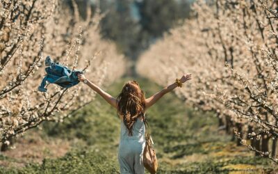 Du tust mir kund den Weg zum Leben