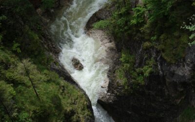 „Stattdessen will ich Recht fließen sehen wie Wasser…