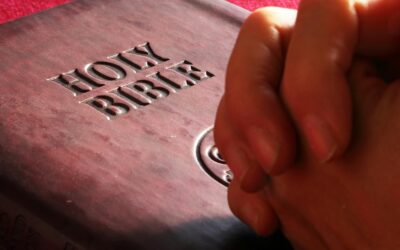 Sorgt euch um nichts …